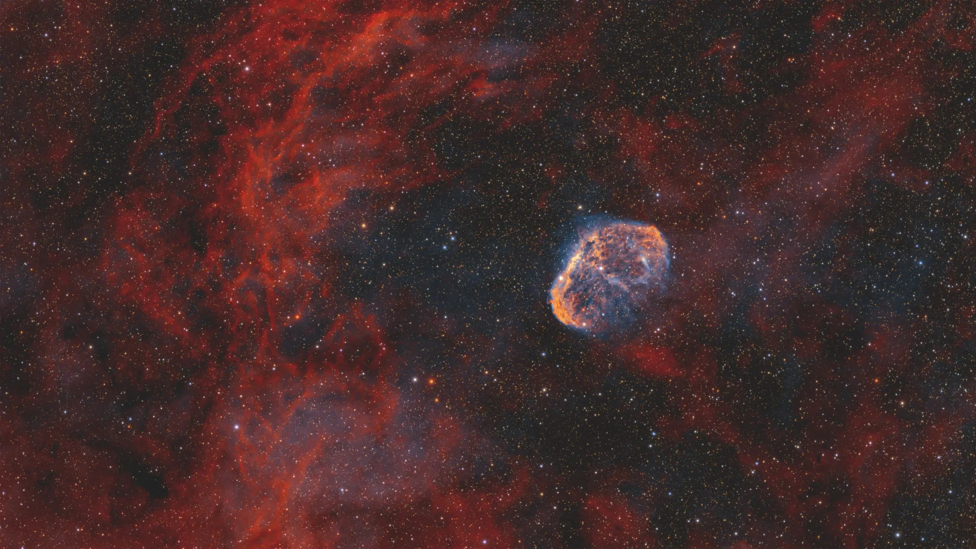 NGC 6888 traitée dans COSMO 0.4.0 : COSMO Fire & Ice sur la nébuleuse, Star colours d'après Gaia sur les étoiles. Seestar S50 Pro, filtre LP.